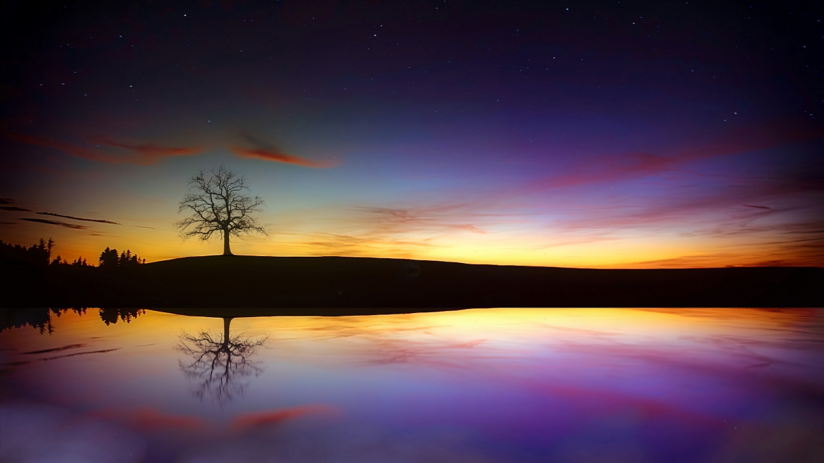 树 湖 黄昏 日落 秋季 云 傍晚的天空4k风景壁纸3840x2160