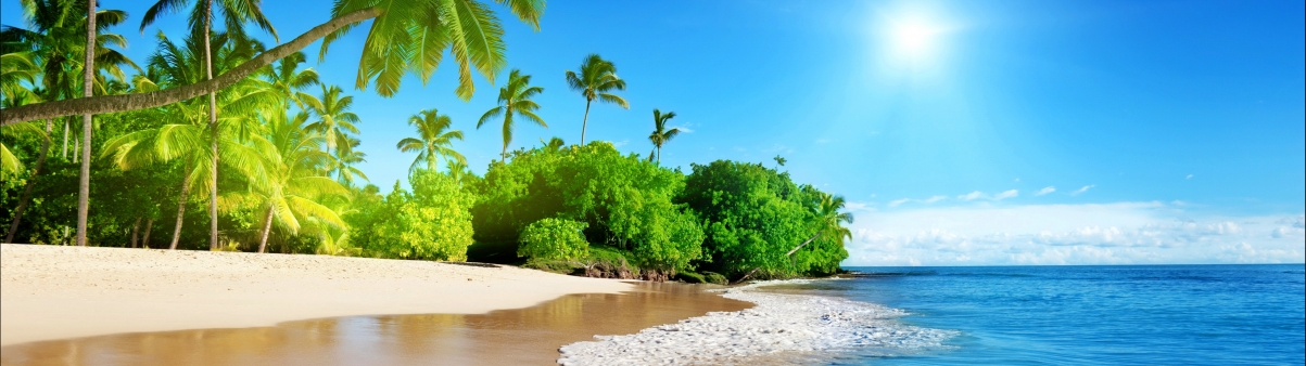 蔚蓝的大海 阳光 棕榈树 沙滩 海岸 美丽海滩5120x1440风景壁纸