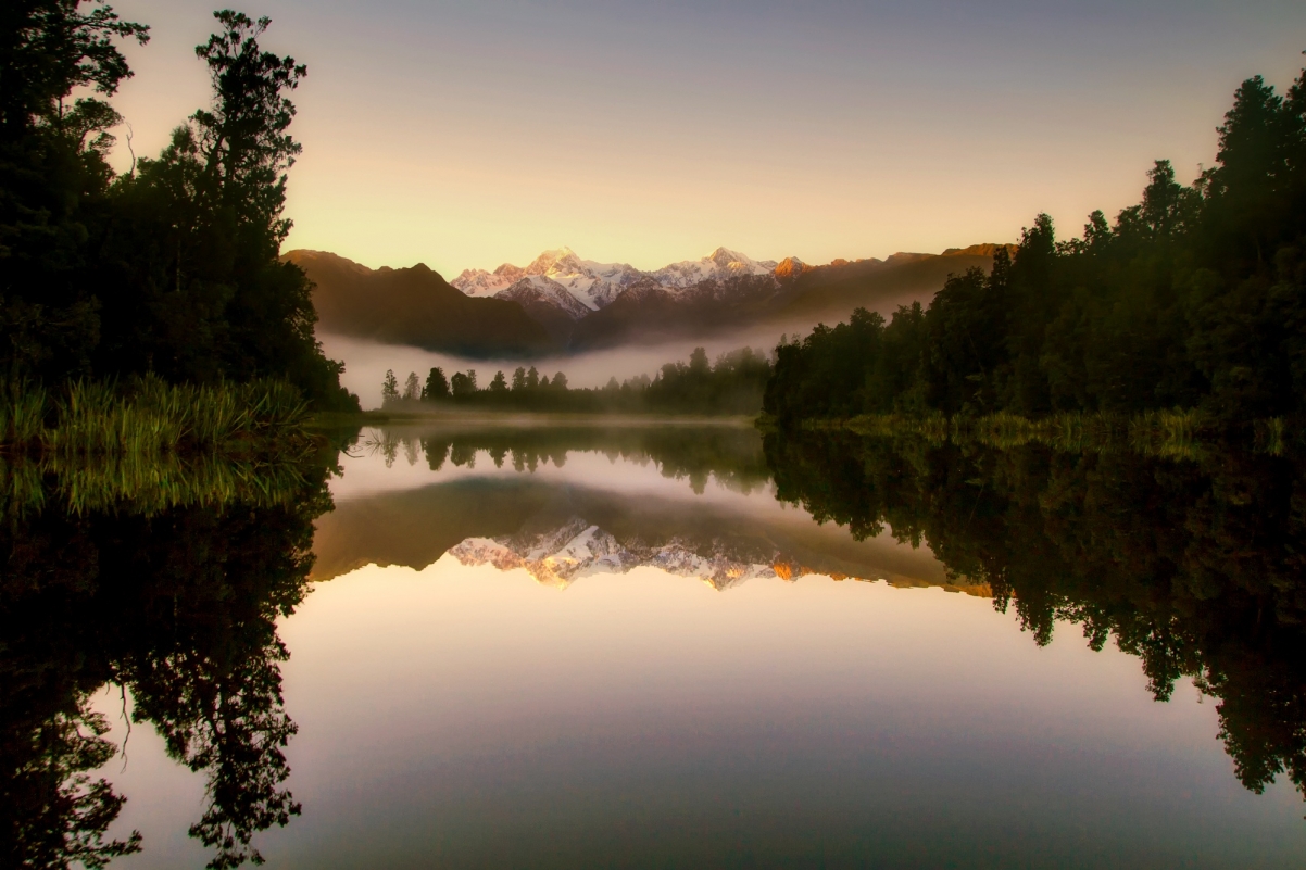 新西兰 日出 雾 上午 森林 树 自然风景图片
