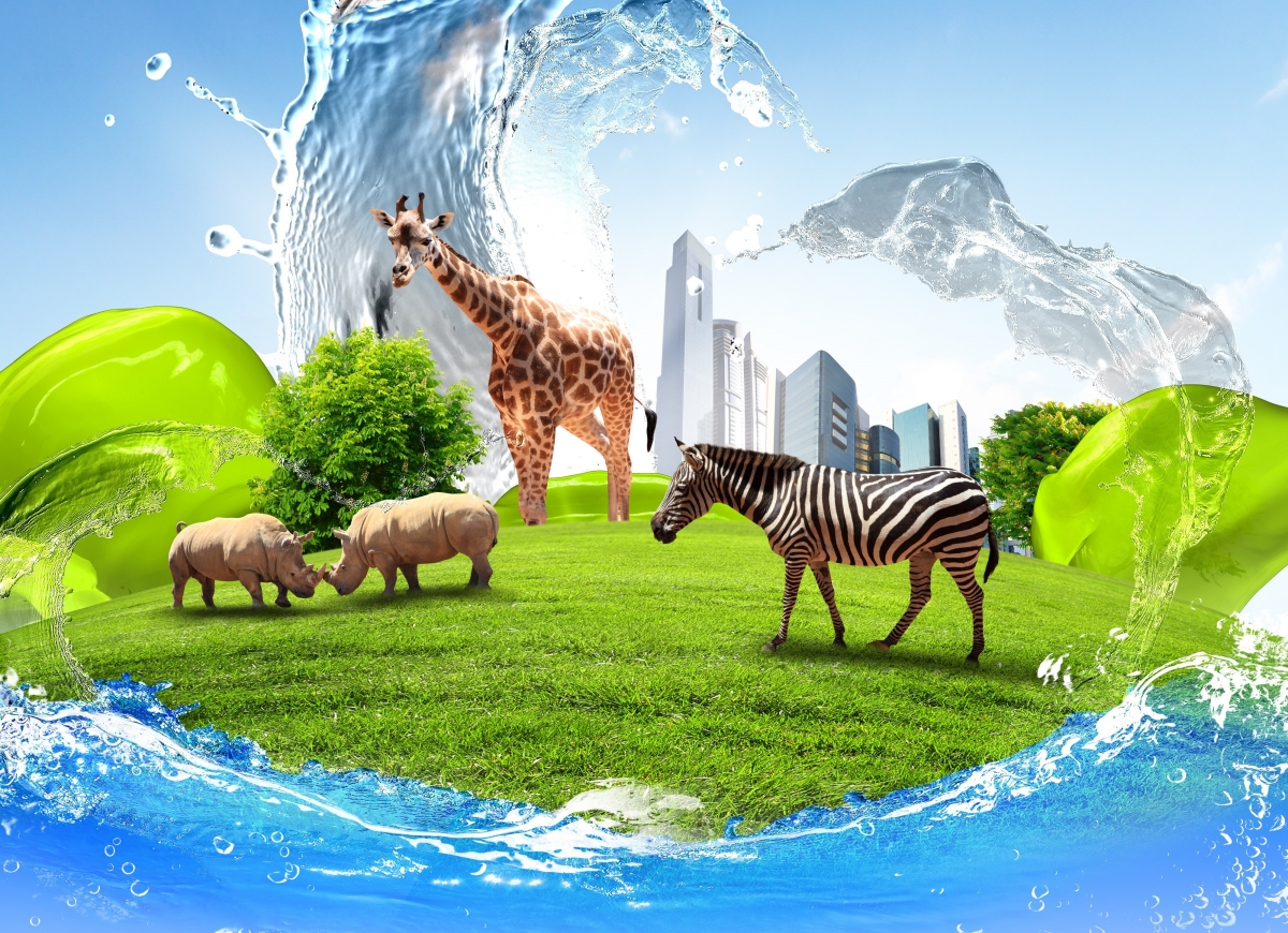 斑马 长颈鹿 犀牛 天空 水 绿草地 创意 设计 4K图片