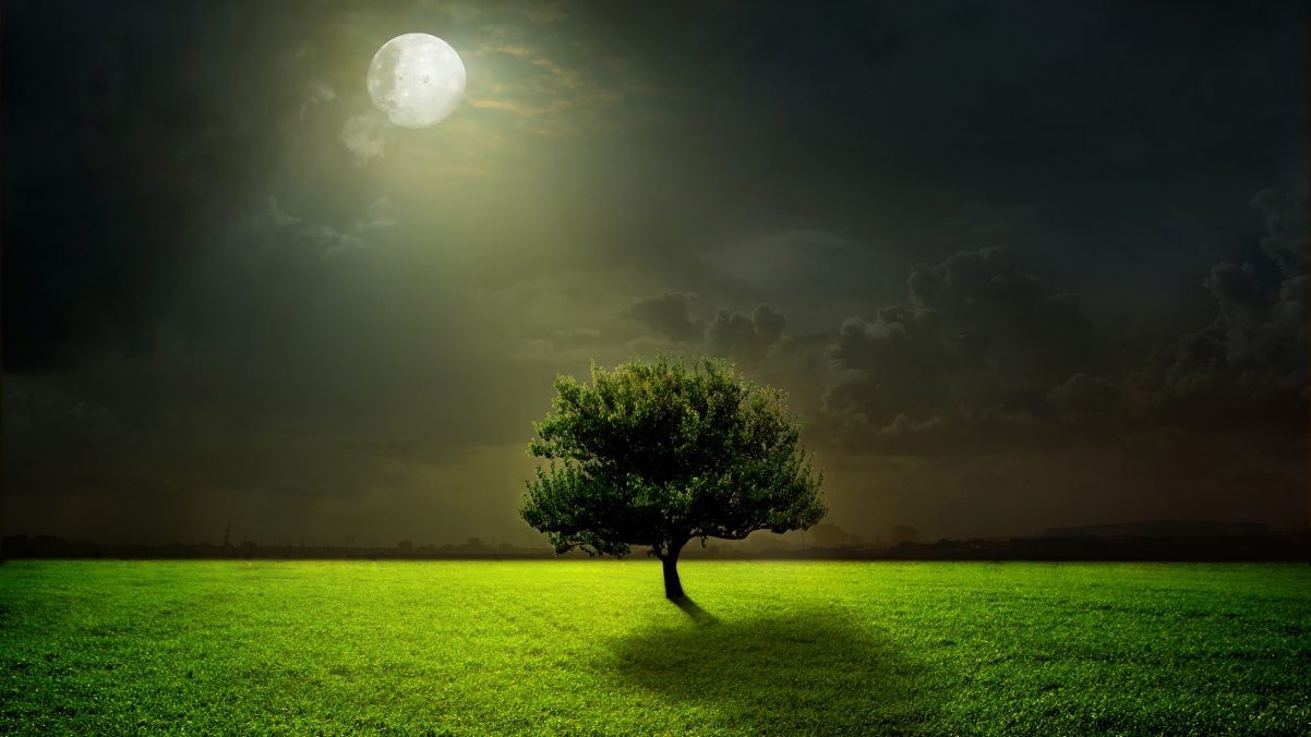 绿色草地 树 云 月亮 夜晚 月光 4K风景壁纸