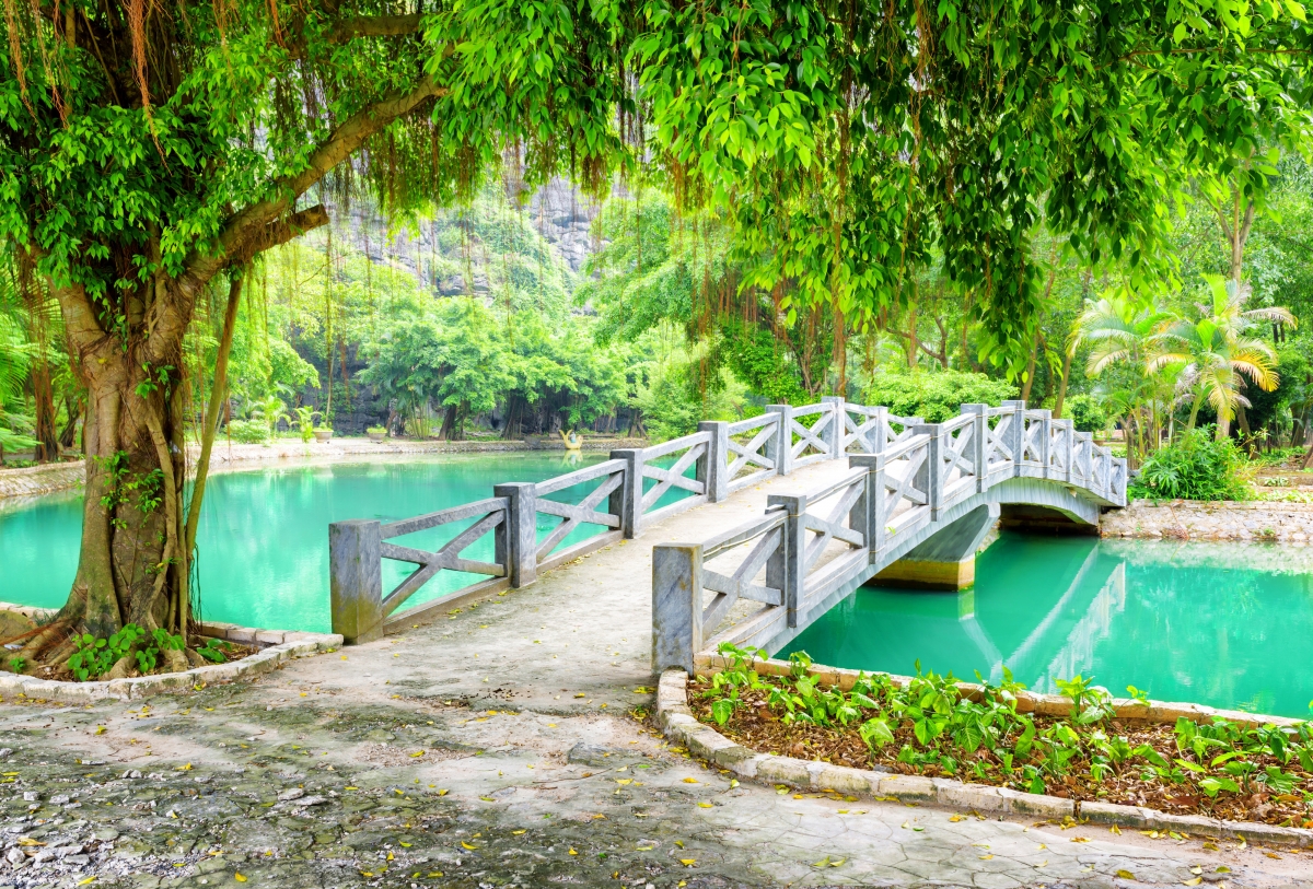 池塘 公园 树 叶子 桥梁 越南风景4k壁纸
