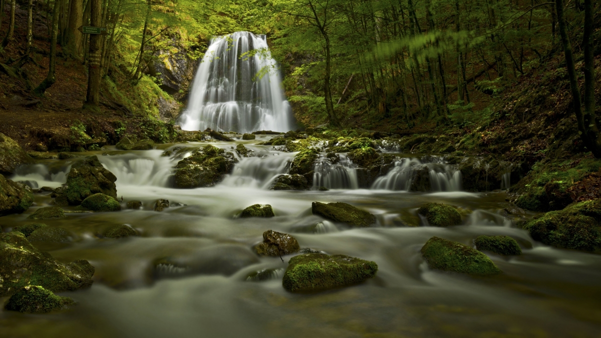 自然森林 水 岩石 瀑布4K风景壁纸