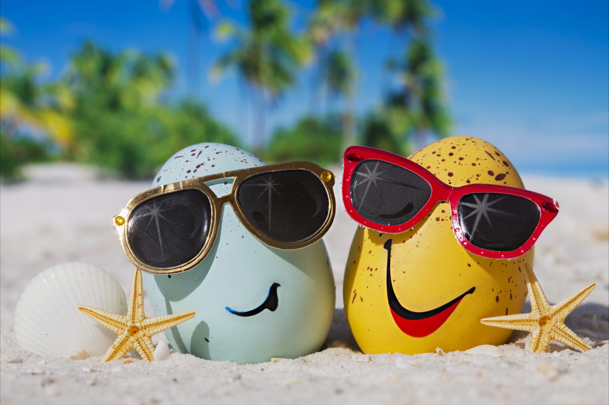 夏天 海滩 蛋 搞笑表情 眼镜 海星 贝壳 6K壁纸
