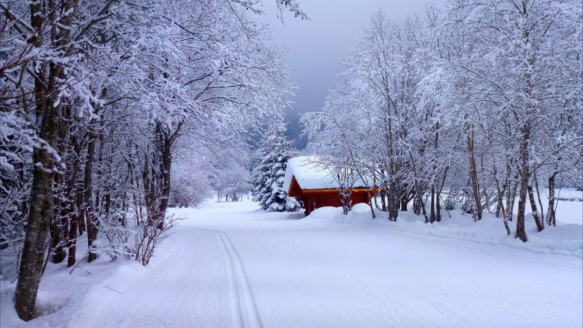 自然 道路 家 房子 冬季风景4K风景壁纸