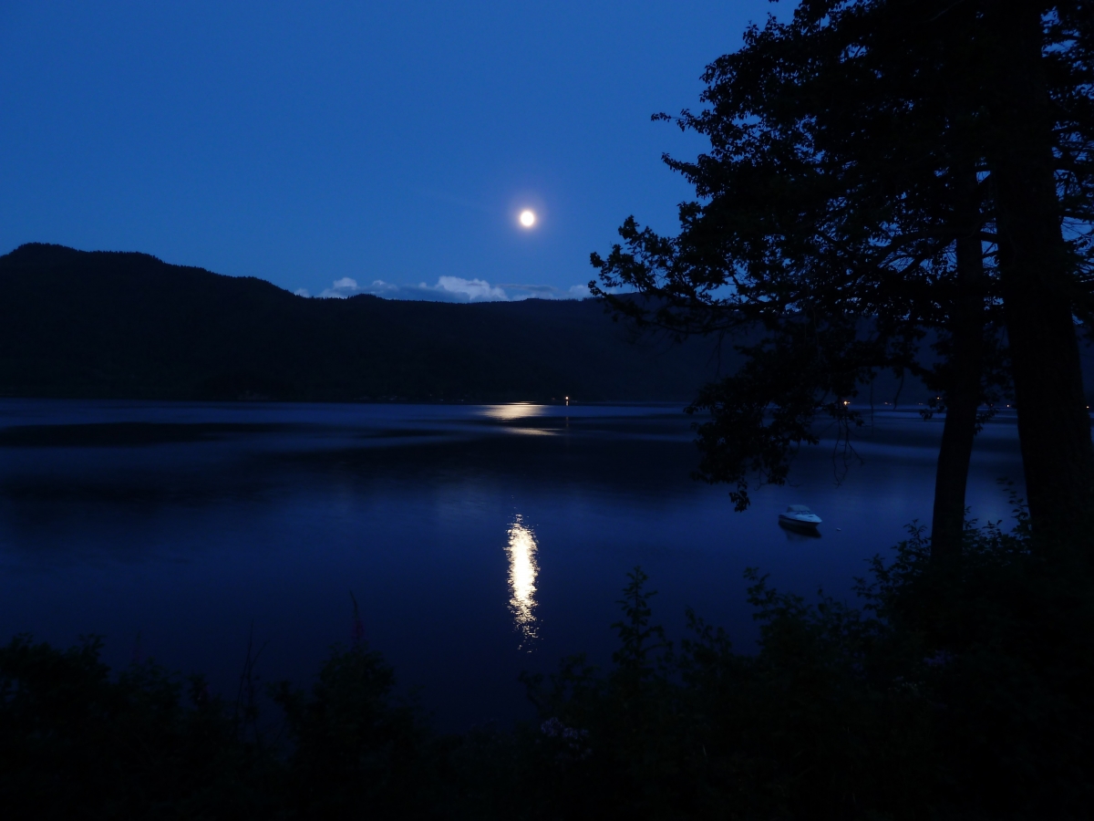 月亮 月亮照耀 卡尼姆湖 丘陵 湖 树 夜景 4K壁纸