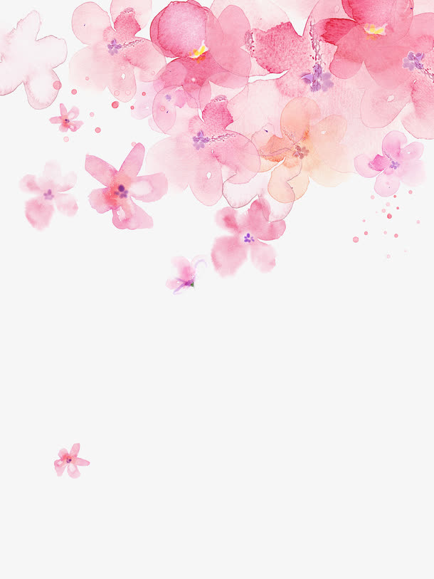 手绘粉色樱花插画