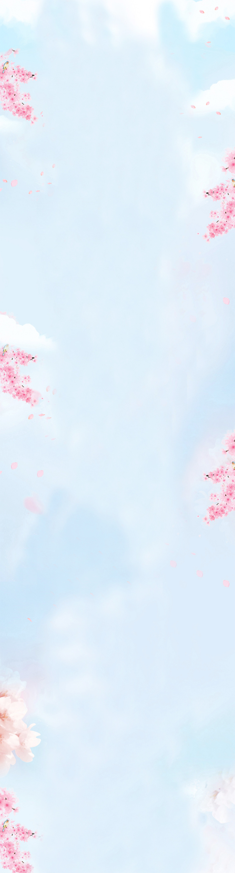 淡蓝色天空粉色梅花背景