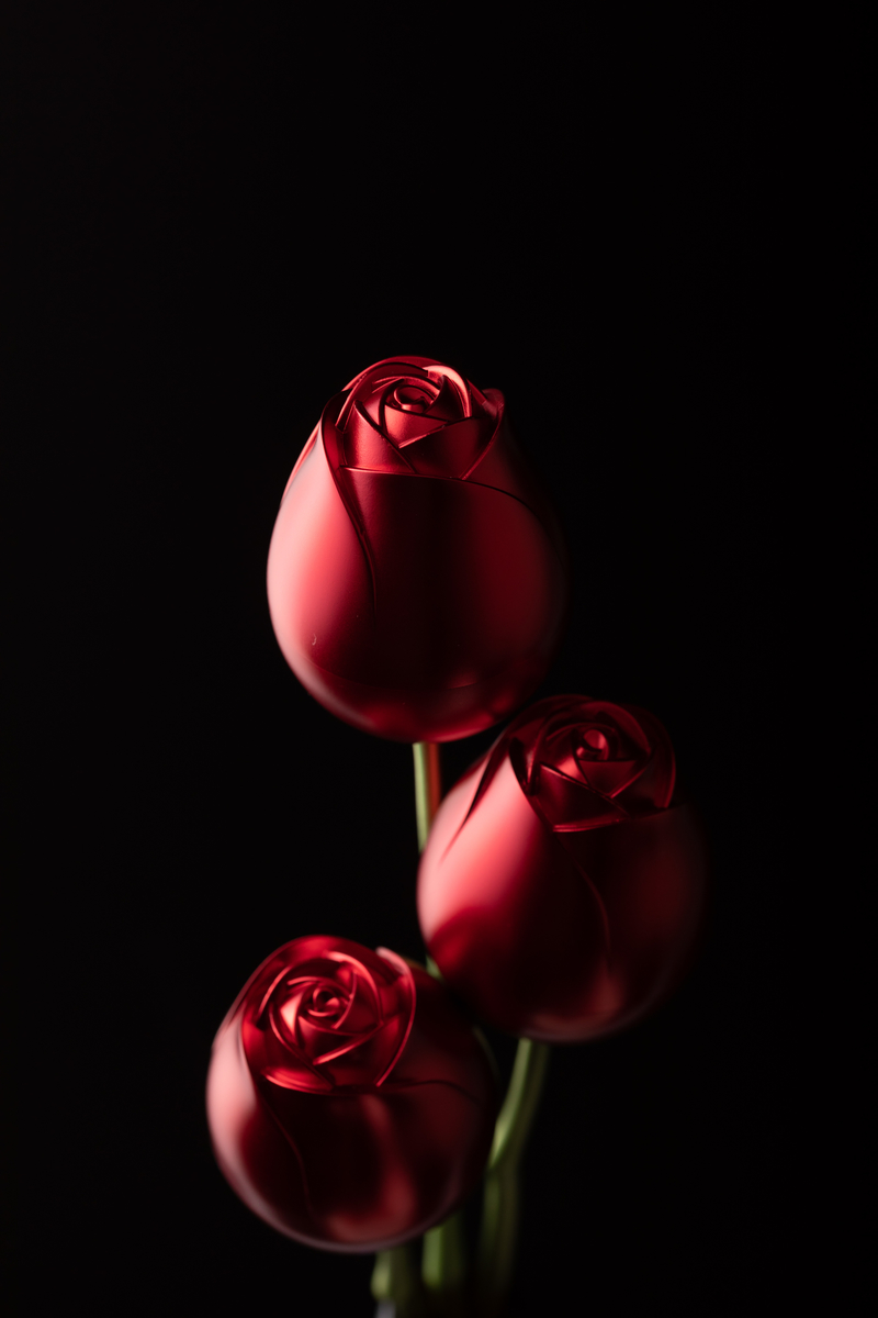 红宝石金属玫瑰3