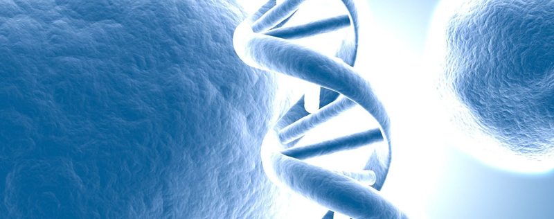 DNA基因遗传背景banner