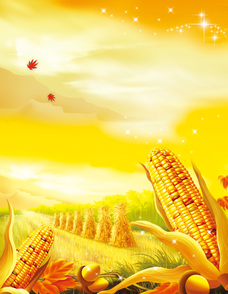 金色丰收农田劳作玉米黄昏背景素材