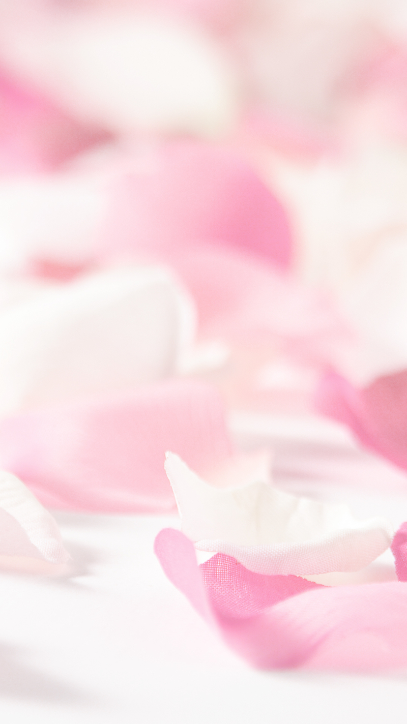 粉红玫瑰花瓣底纹背景