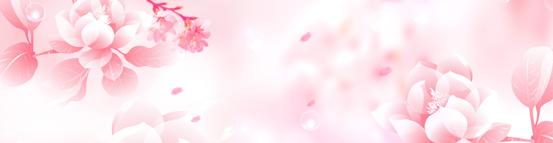 粉红色花朵花瓣背景