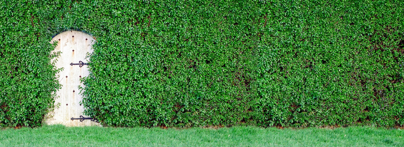 绿植覆盖墙面露木门