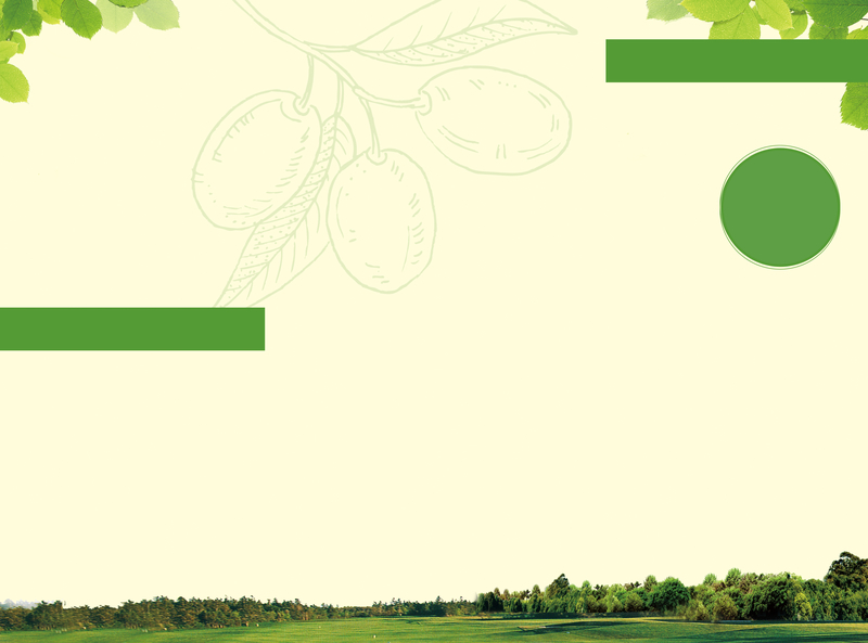 绿色酵素草本产品封面背景素材
