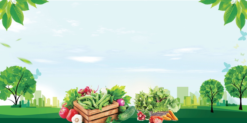 有机蔬菜质量保证海报背景