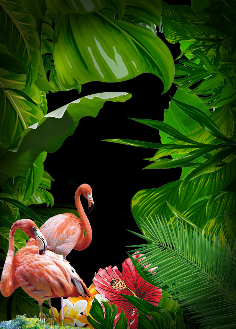 热带雨林海报背景