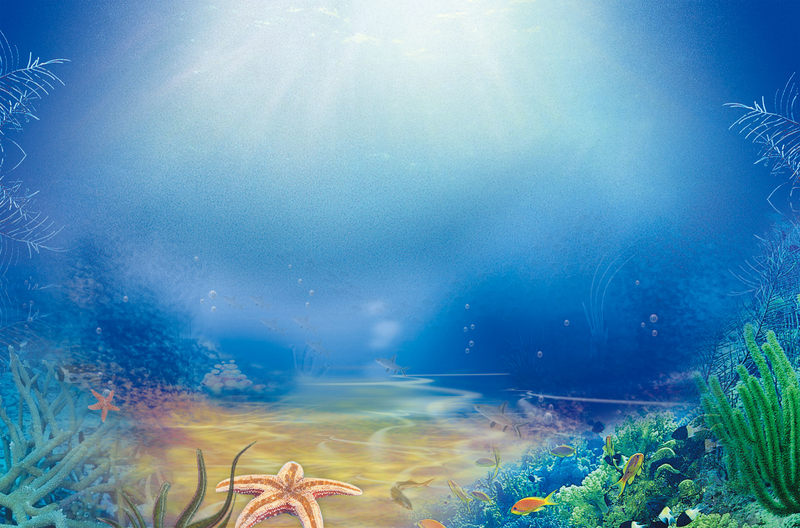 梦幻海底世界手绘展板背景素材