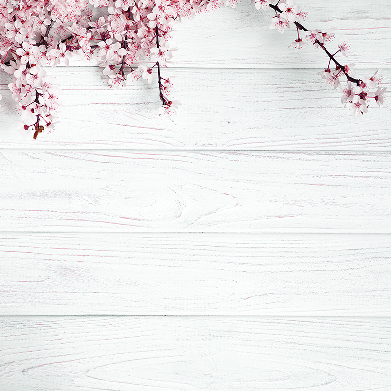樱花木板背景