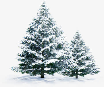 高清摄影创意合成效果冬天的松树
