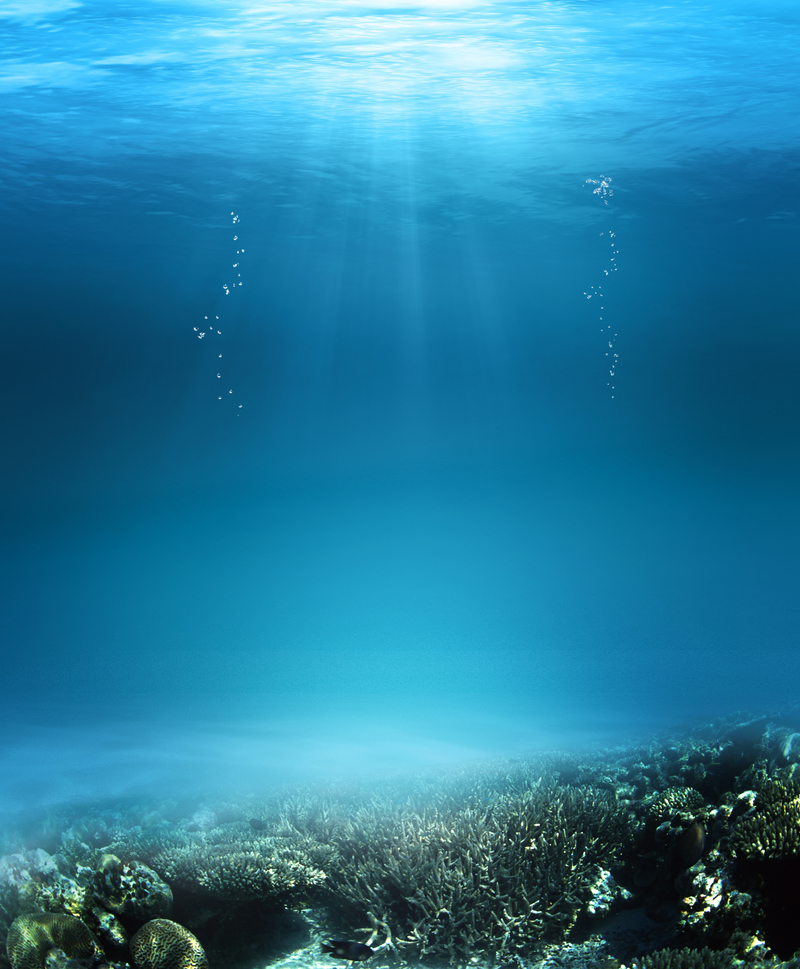 深蓝 珊瑚 水下 素材