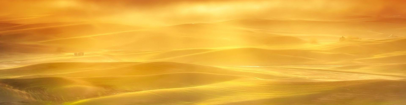 金色沙漠风景背景