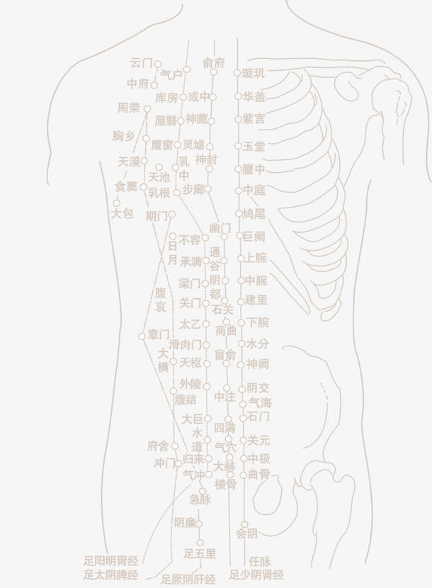人形脉络图