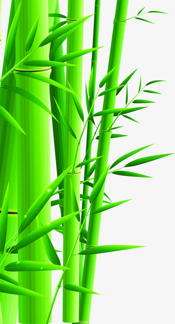 绿色卡通艺术手绘竹子