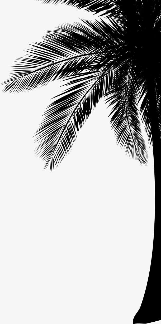 高清手绘绘画黑色椰子树