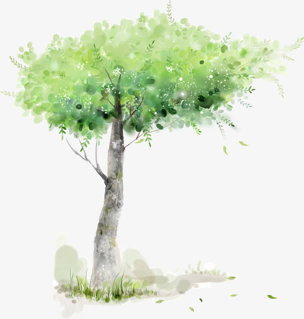 高清摄影素描手绘树木