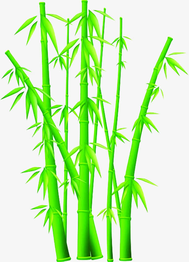 卡通绿色清新竹子