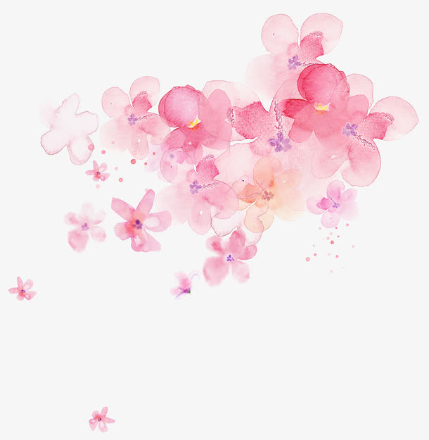 手绘粉色樱花画册