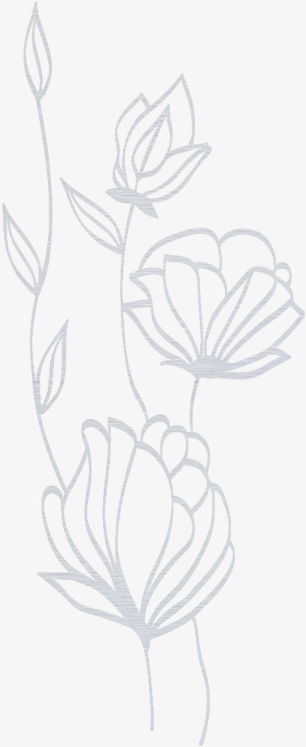 暗纹花银色图案ﾉ植物