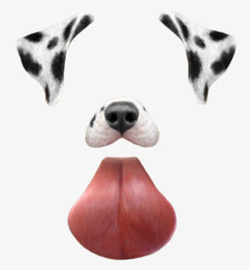 斑点狗狗耳朵鼻子舌头照片修饰