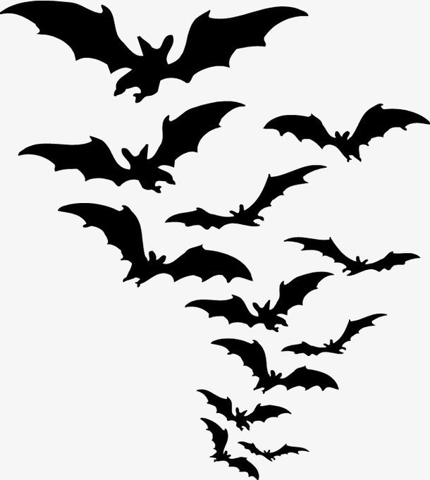 蝙蝠群 动漫形象