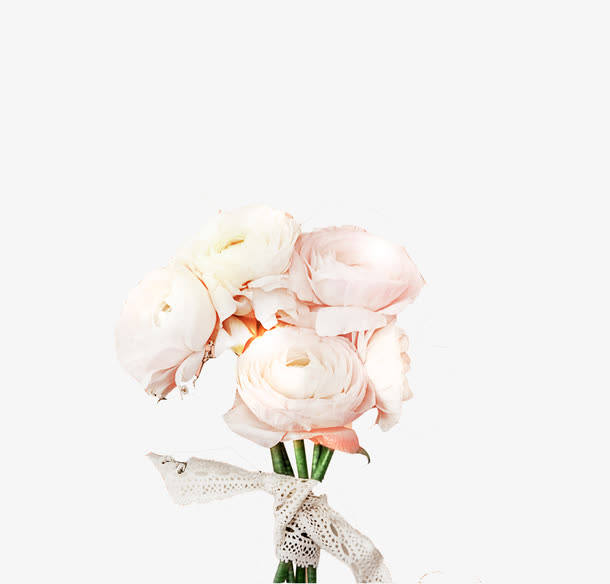 白色美丽康乃馨花束