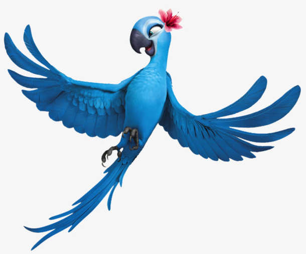蓝色 鹦鹉 动画版 里约热内卢