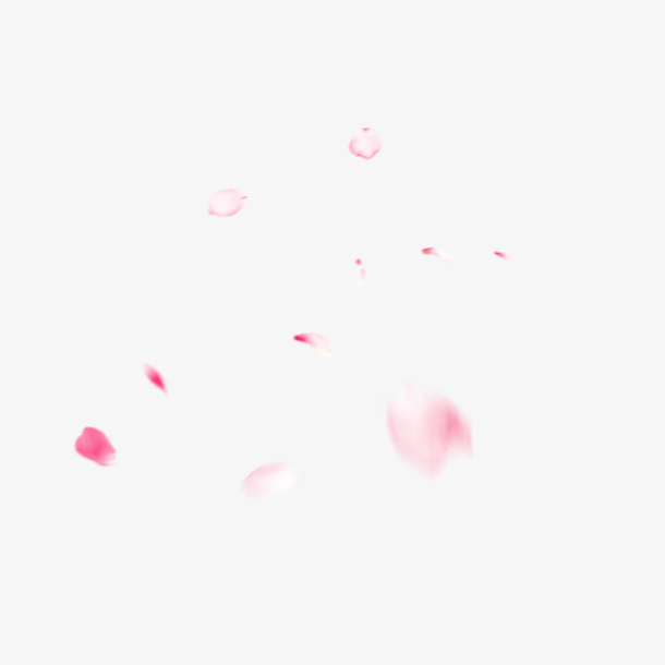 漂浮元素粉色花瓣叶子