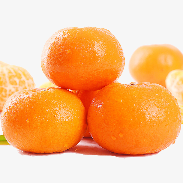 橘子橙子柚子