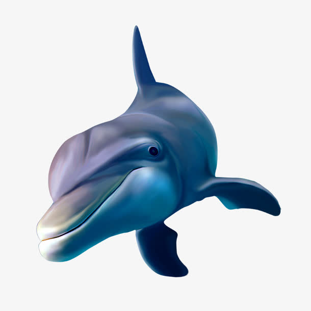 童话海豚