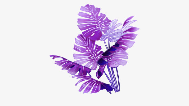 紫色植物叶子