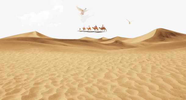 黄色沙漠骆驼商队背景