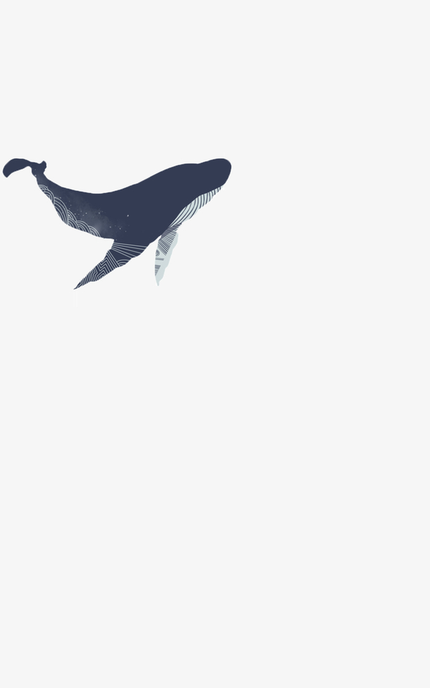 黑海豚图案元素