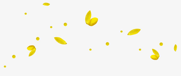 满天飘落的黄色花瓣