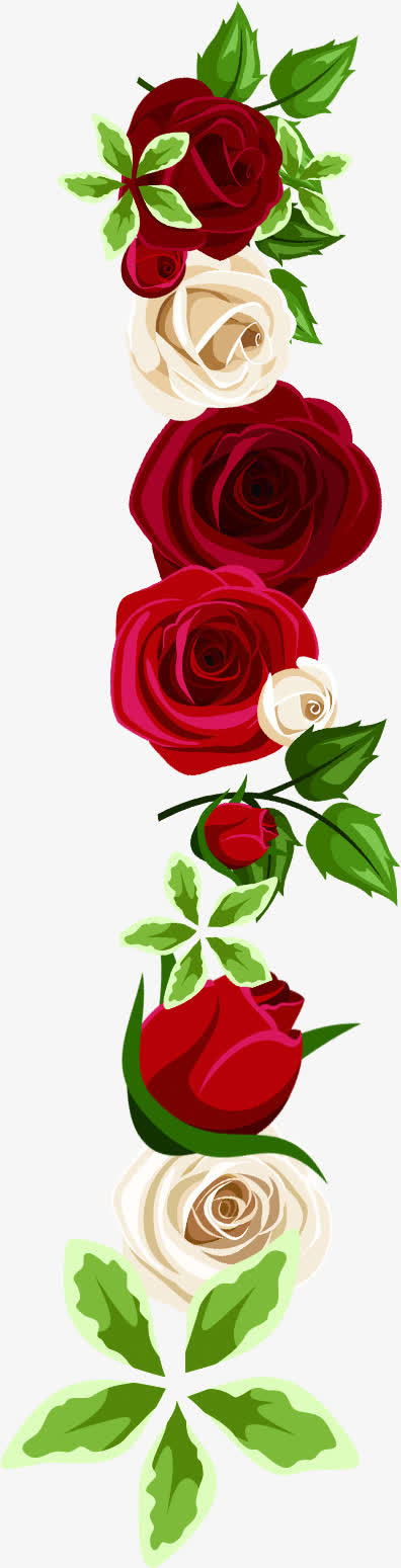艺术白红玫瑰花朵