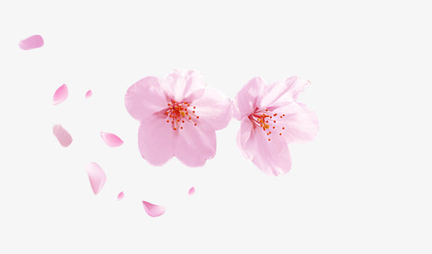 粉色桃花朵朵