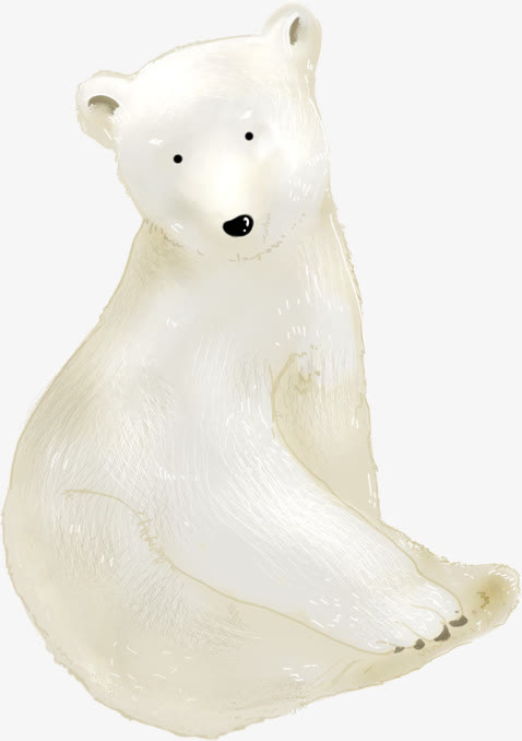 冬季北极熊展板设计