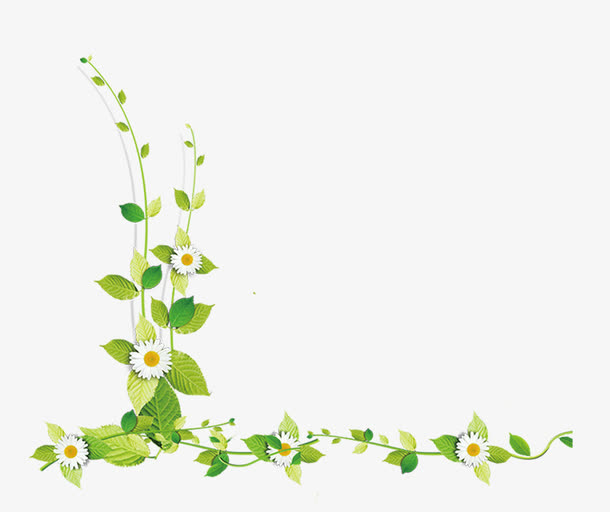 绿色手绘藤蔓花朵装饰图案