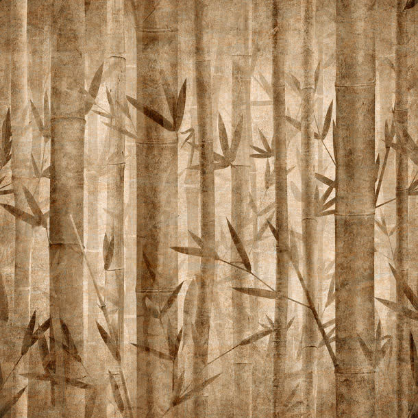 粗纹理的竹子背景