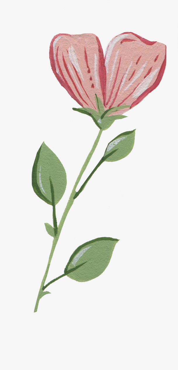 手绘花植物油画质感油画纹理